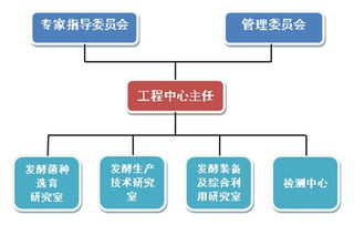 醬油,食品公司,加加食品,調味食品,糧油食品,十大品牌食品,組織架構及崗位職責 醬油 食品公司 加加食品 調味食品 糧油食品 十大品牌食品 加加食品集團股份