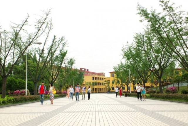 您好,我是成都理工大學工程技術學院,這是你要的大學嗎?